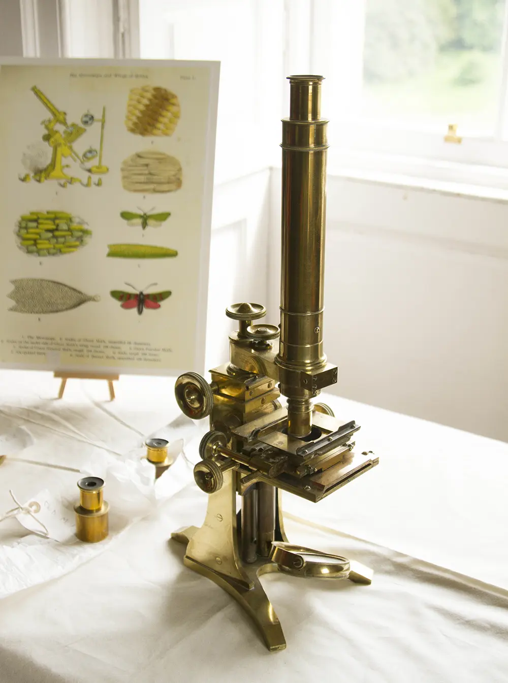 Mary Ward Microscope