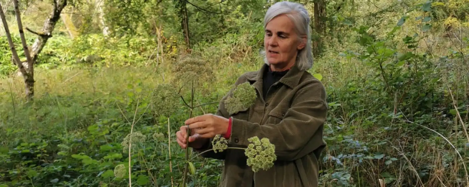 Foraging through Birr Castle Demesne