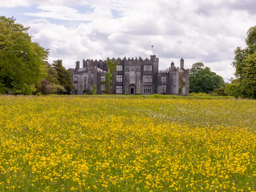 Birr Castle Demesne