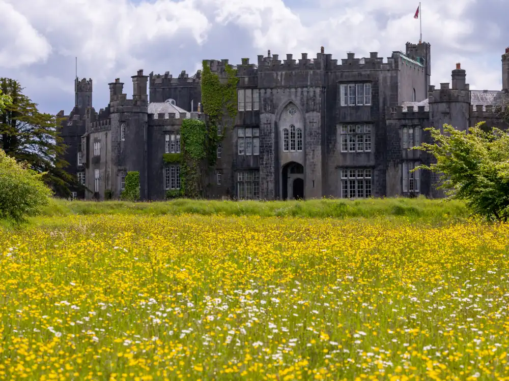 Birr Castle