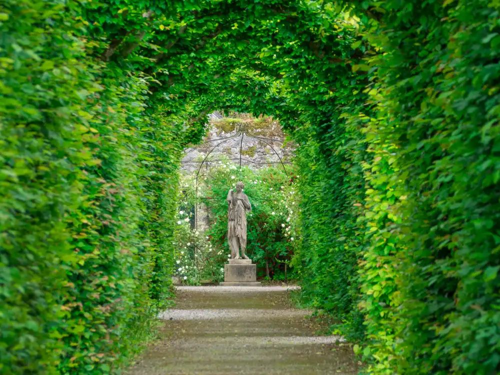 Birr Castle Gardens