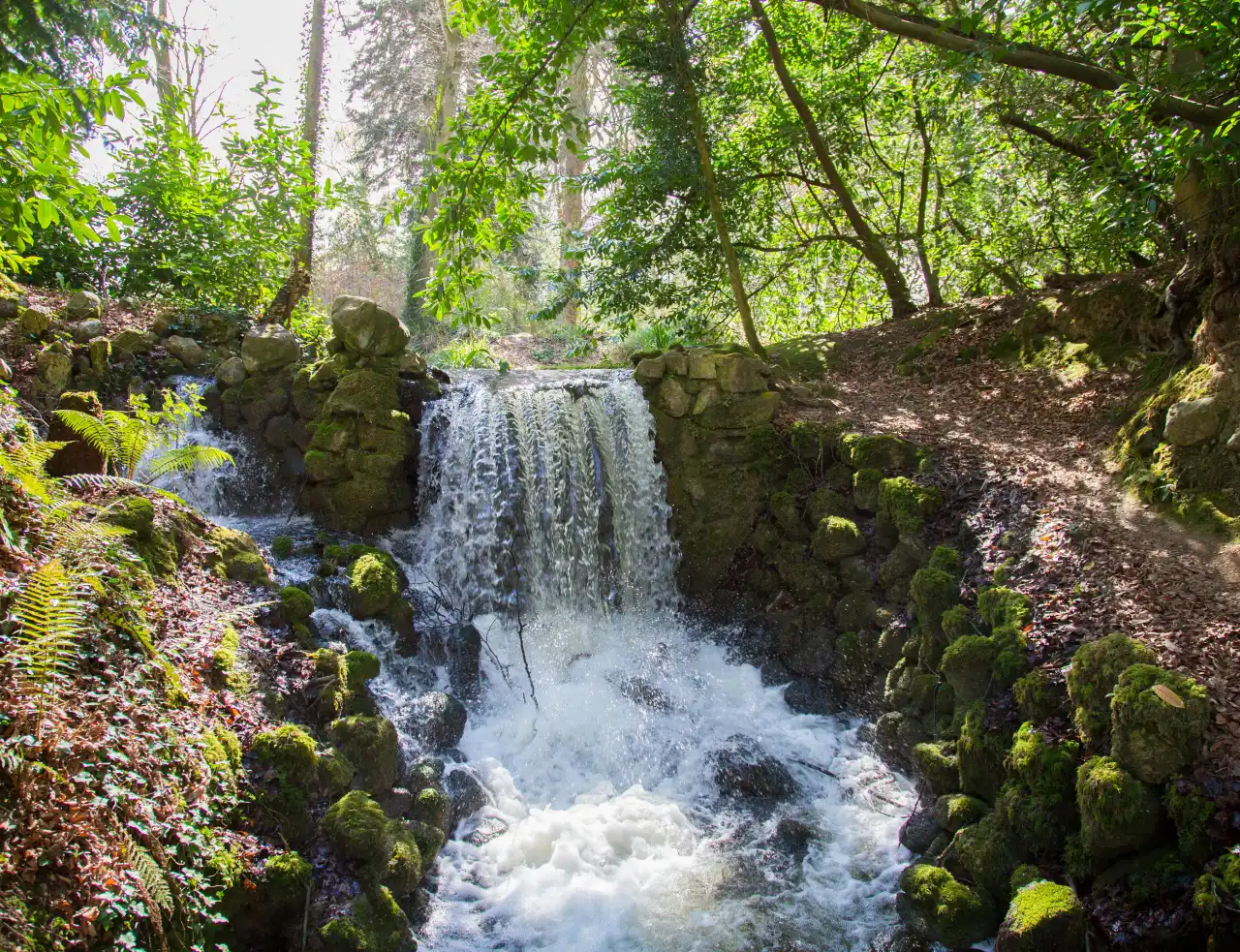 Birr Castle Fernery Garden