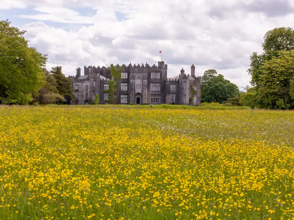 Castle With Meadow