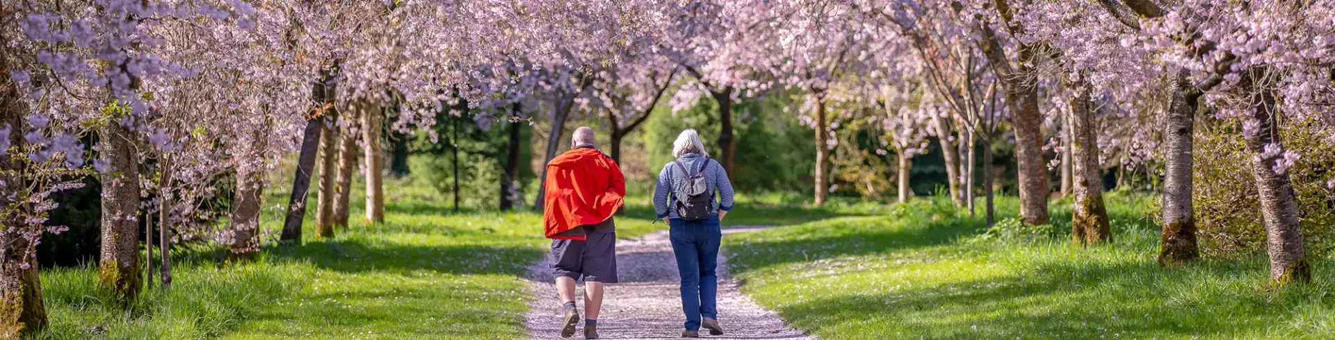 Cherry Avenue Walkers Birr Castle