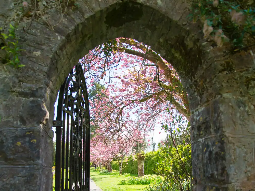 Chilean Gate Formal Gardens