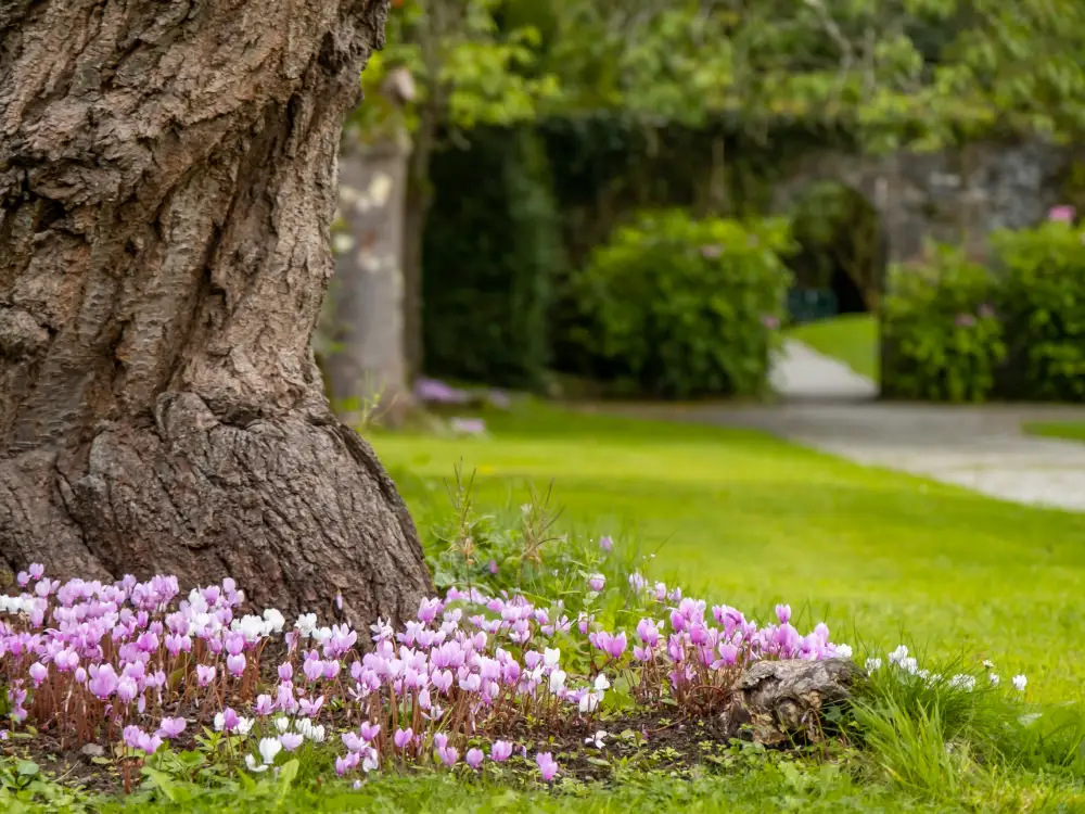 Crocus Formal Gardens