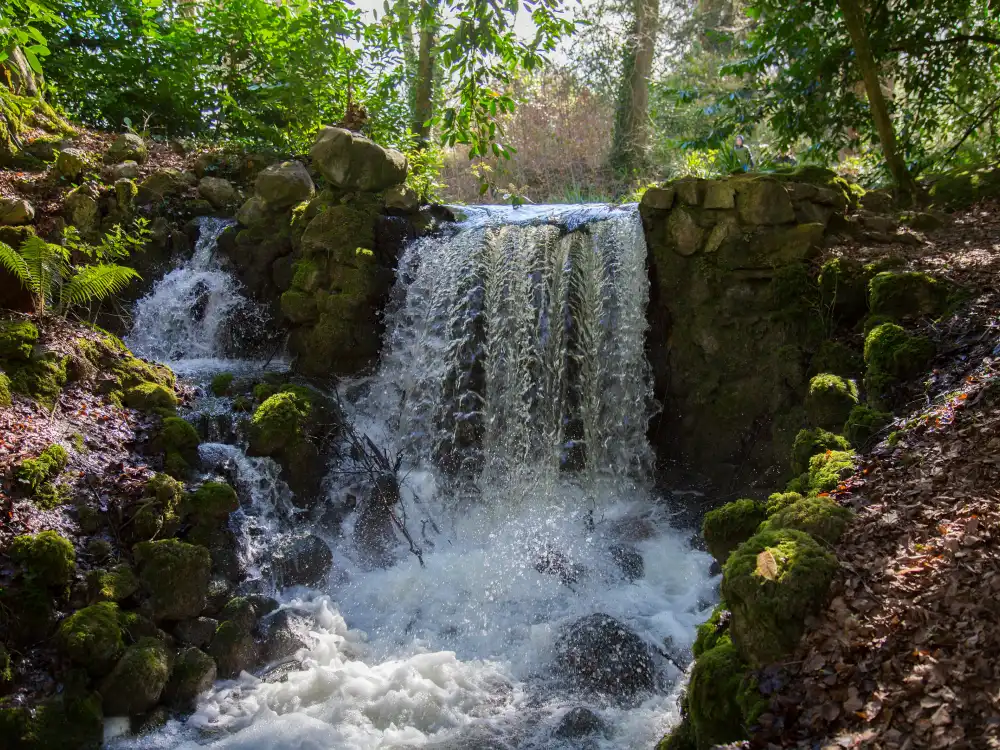 Fernery Waterfall