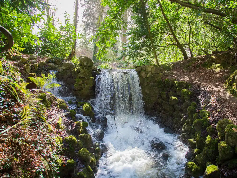 Fernery Waterfall