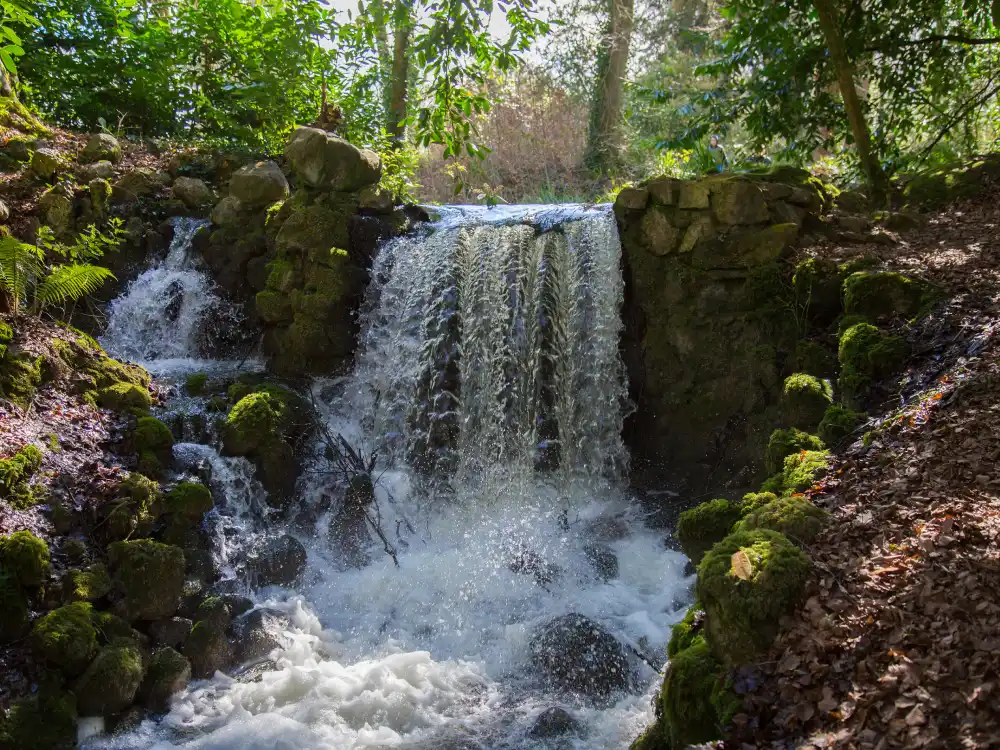 Fernery Waterfall