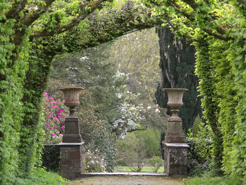 Fomal Gardens Cloister Hornbeams