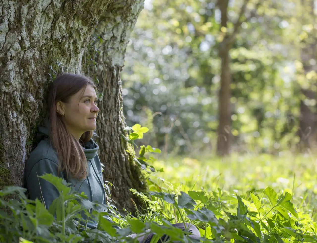 Forest Bathing