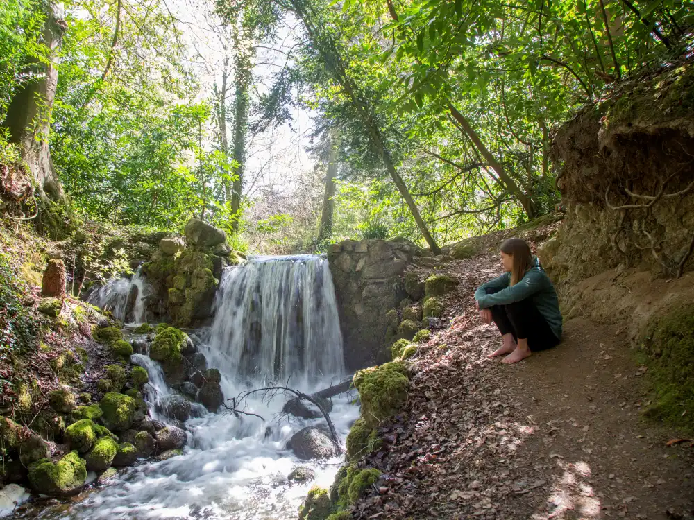 Girl Sitting Fernery Waterfall
