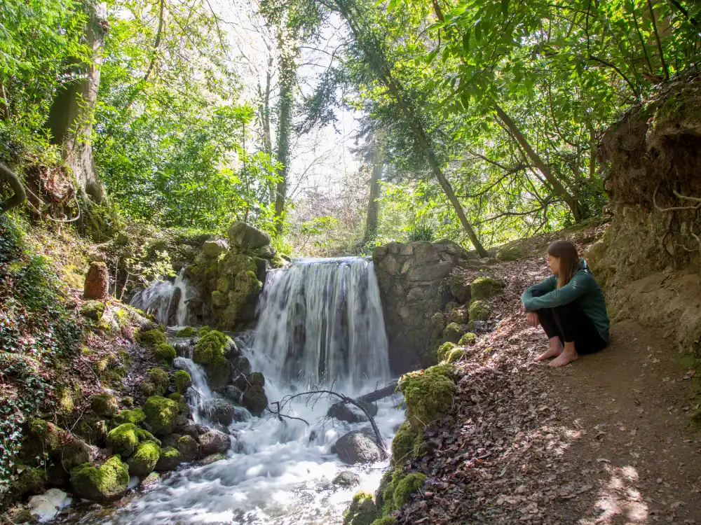 Girl Sitting Fernery Waterfall