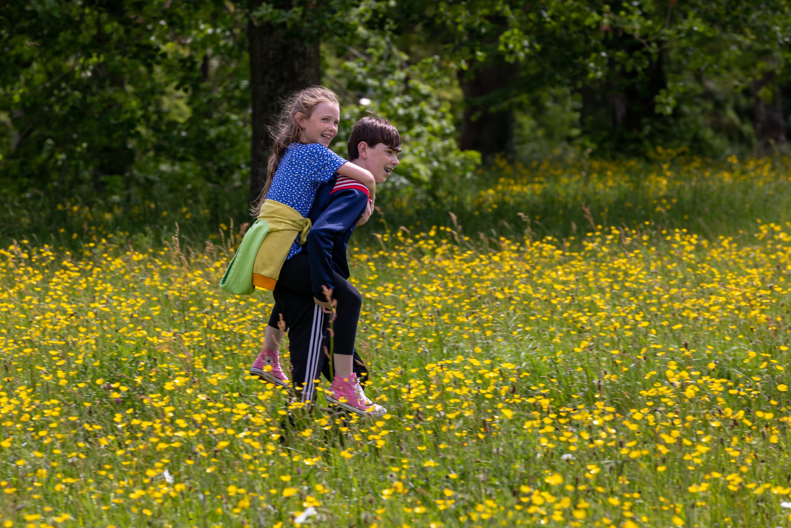 Children Playing Meadow Birr Castle Demesne