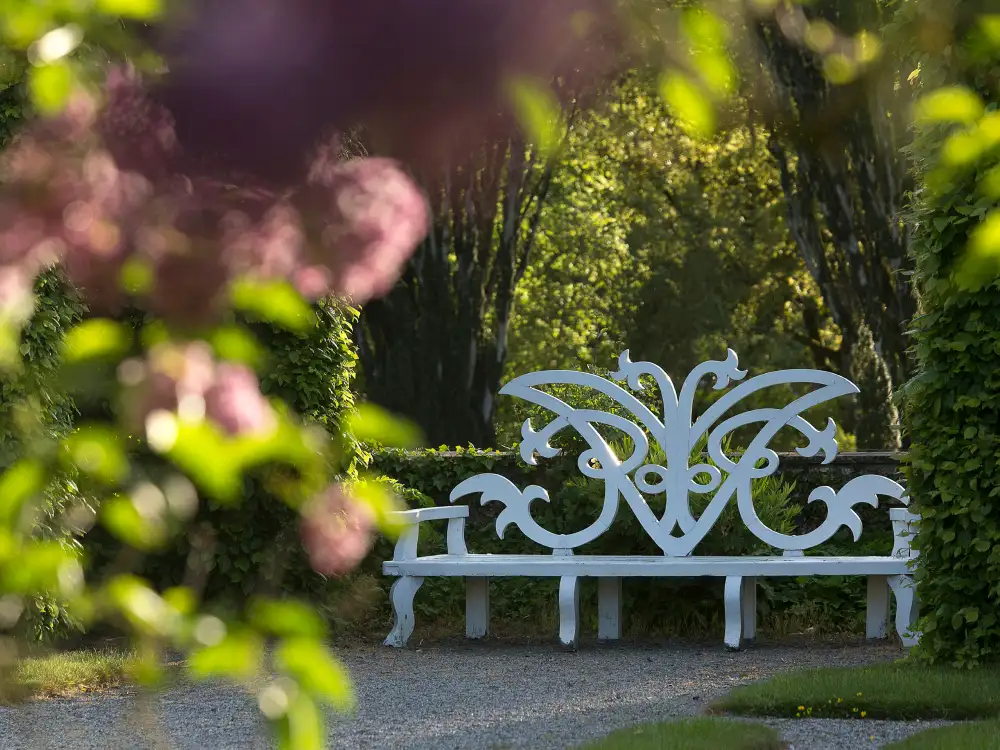 Michael Rosse Bench