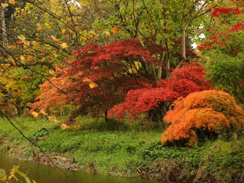 River Garden