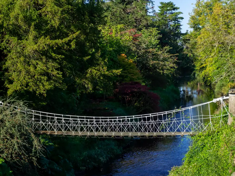 Suspension Bridge