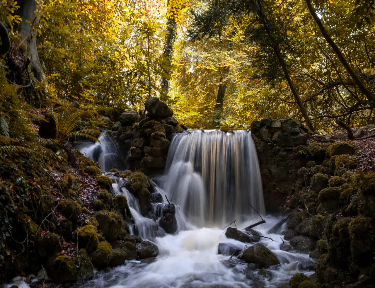 Fernery Waterfall Autumn