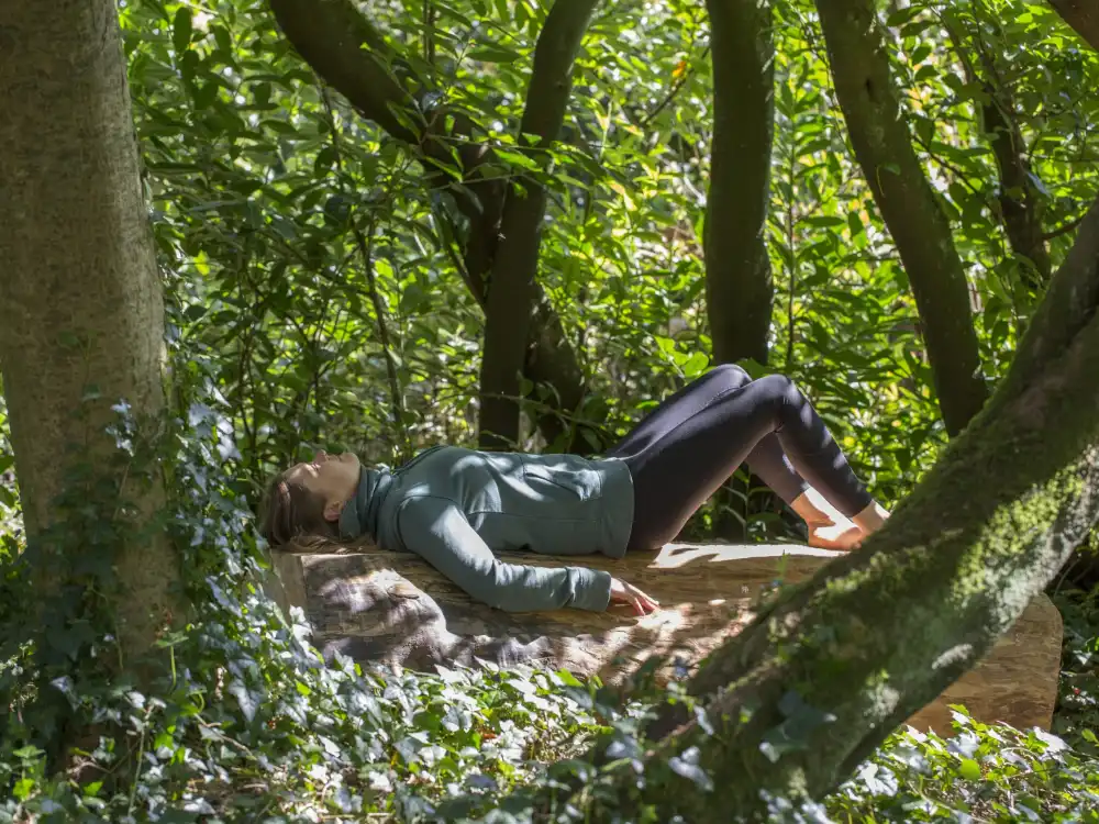 Lying on Tree Forest Bathing