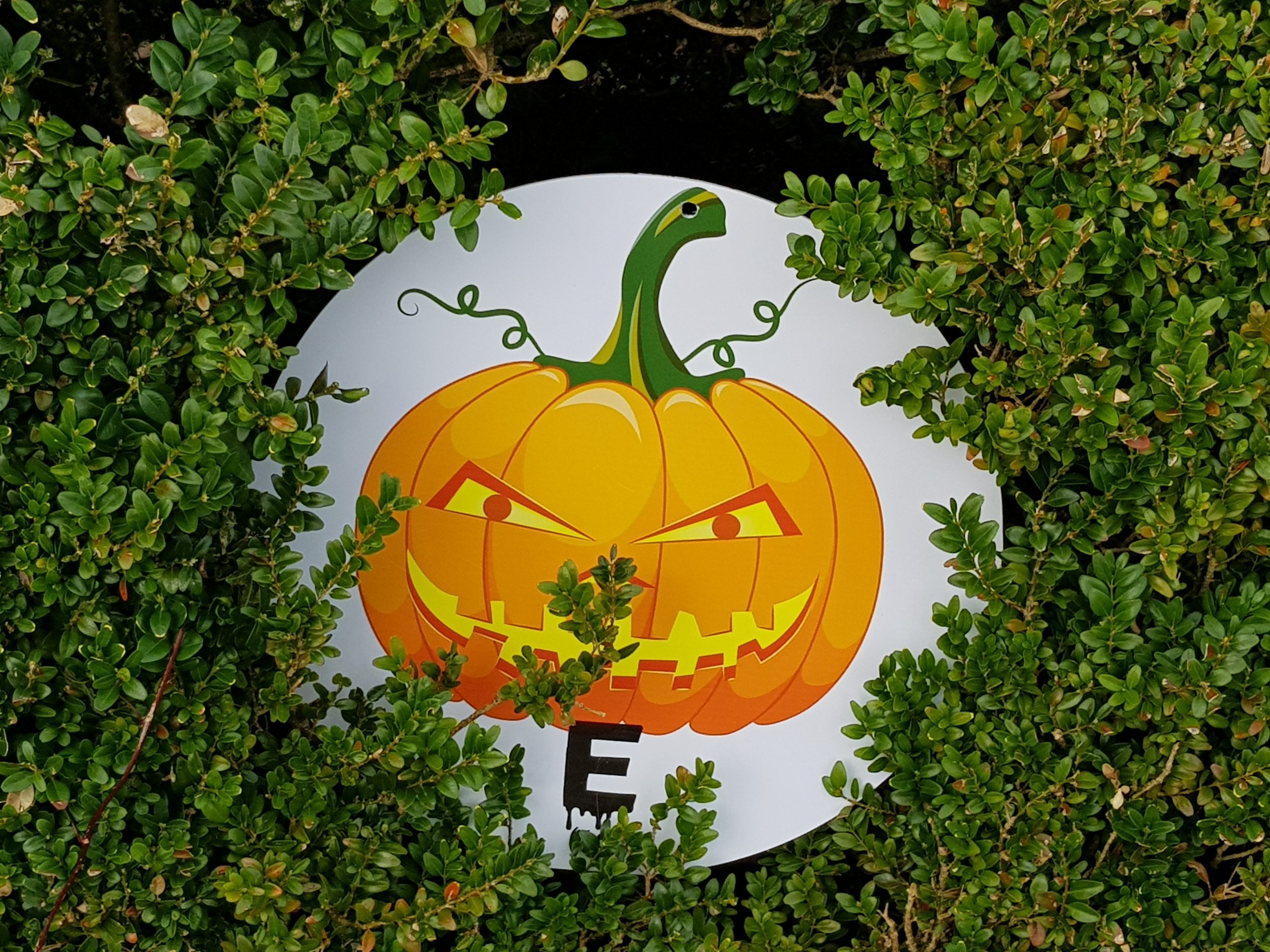 Halloween Pumpkin Trail